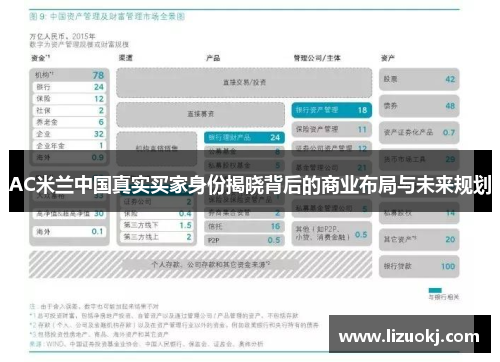 AC米兰中国真实买家身份揭晓背后的商业布局与未来规划