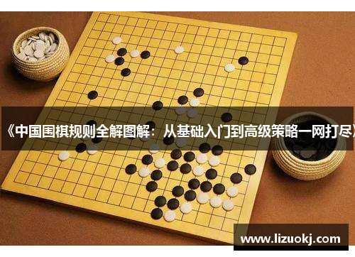 《中国围棋规则全解图解：从基础入门到高级策略一网打尽》